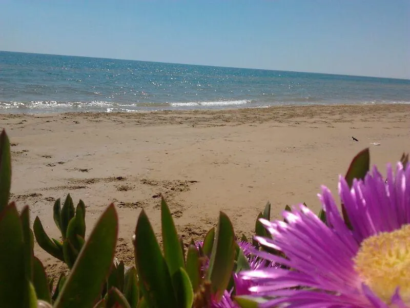 Apartment La Conchiglia Menfi Holiday home